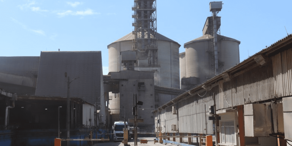 brasil alimenta mundo economiapr