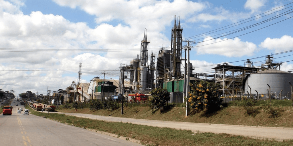 leilao imcopa economiapr