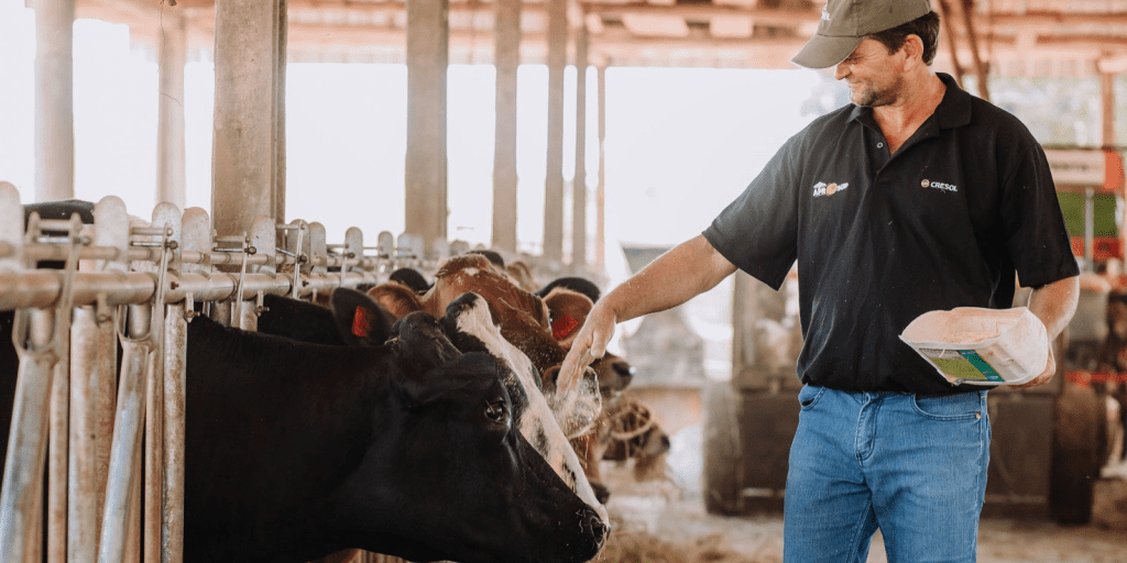 queijo sudoeste economiapr