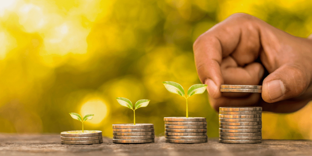 disciplina financeira economiapr