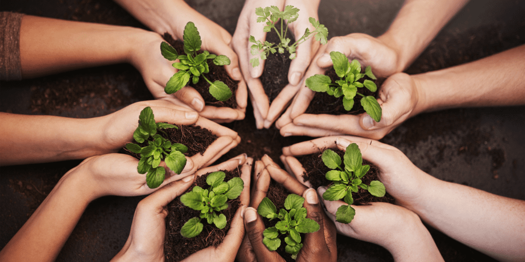 responsabilidade ambiental economiapr