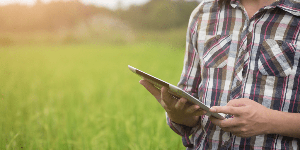 bluelogic economiapr