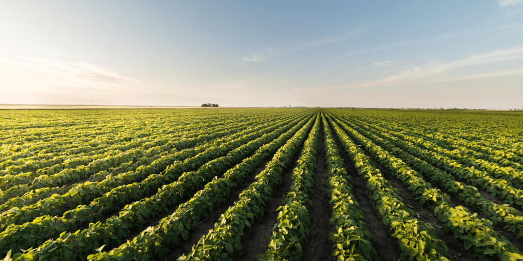 tecno agro economiapr