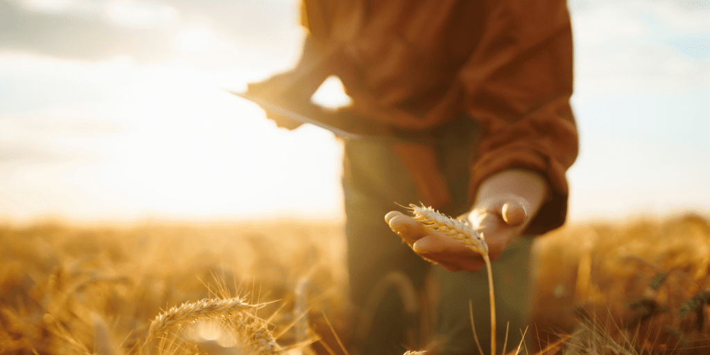 agro expansao pr economiapr