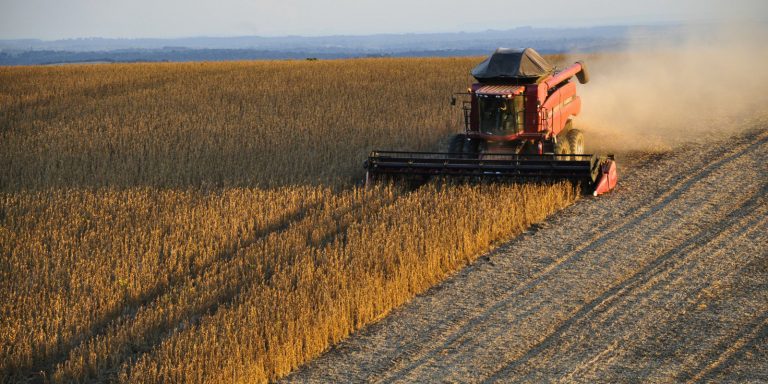 Biodiesel soja Economia PR