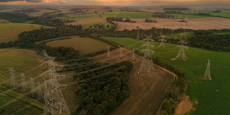 projeto gralha azul economiapr