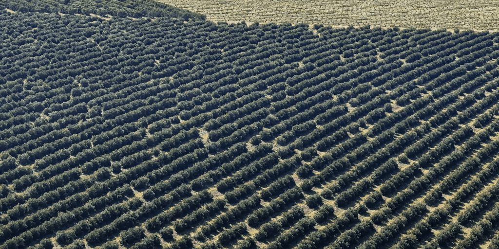 recurso agricultura economiapr