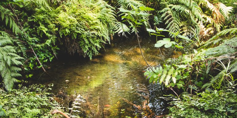 projeto monitora ambiente aquatico economiapr
