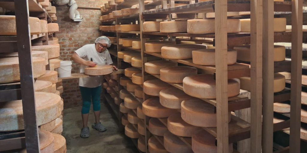 Pequenos produtores Queijo Economia PR