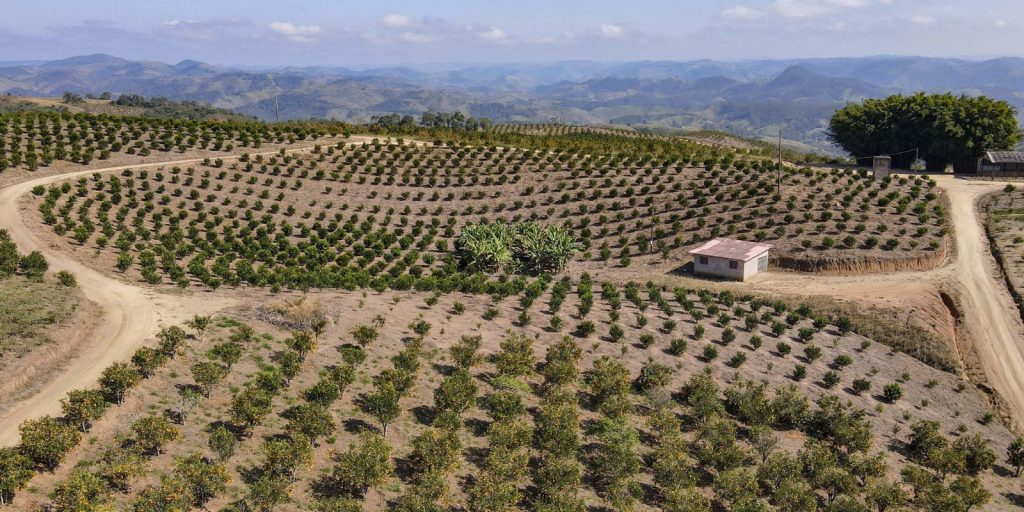 Ipardes agronegócio economia pr