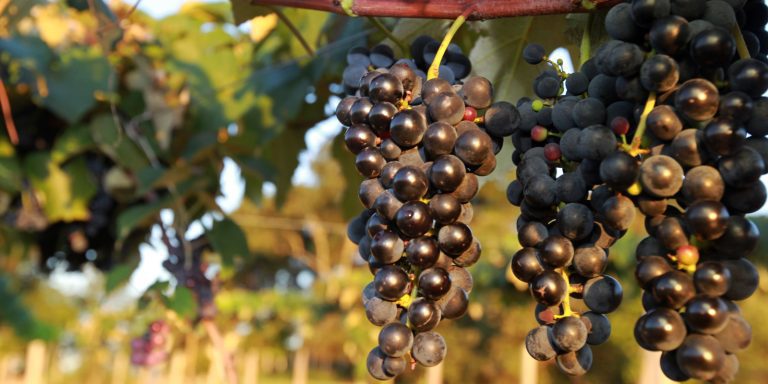 acordo mercosul uniao europeia economiapr