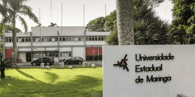 universidade uem economiapr