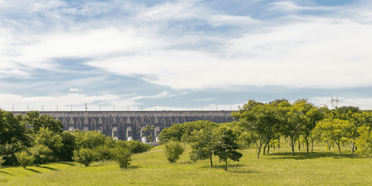 restauracao florestal economiapr