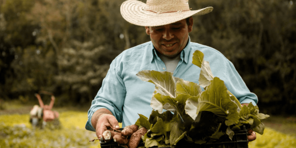 agricultura sustentavel economiapr