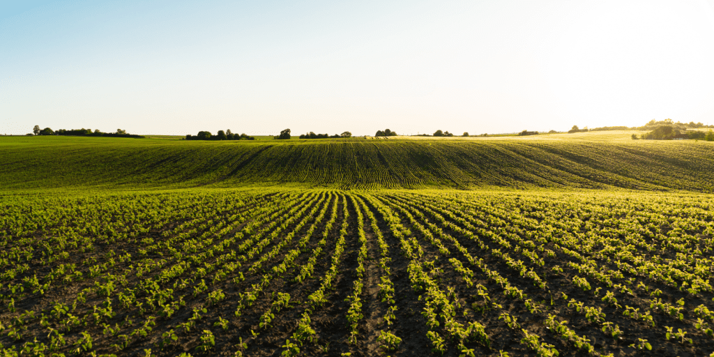 iguassu agro economiapr