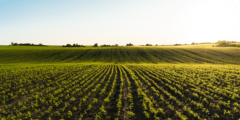 iguassu agro economiapr