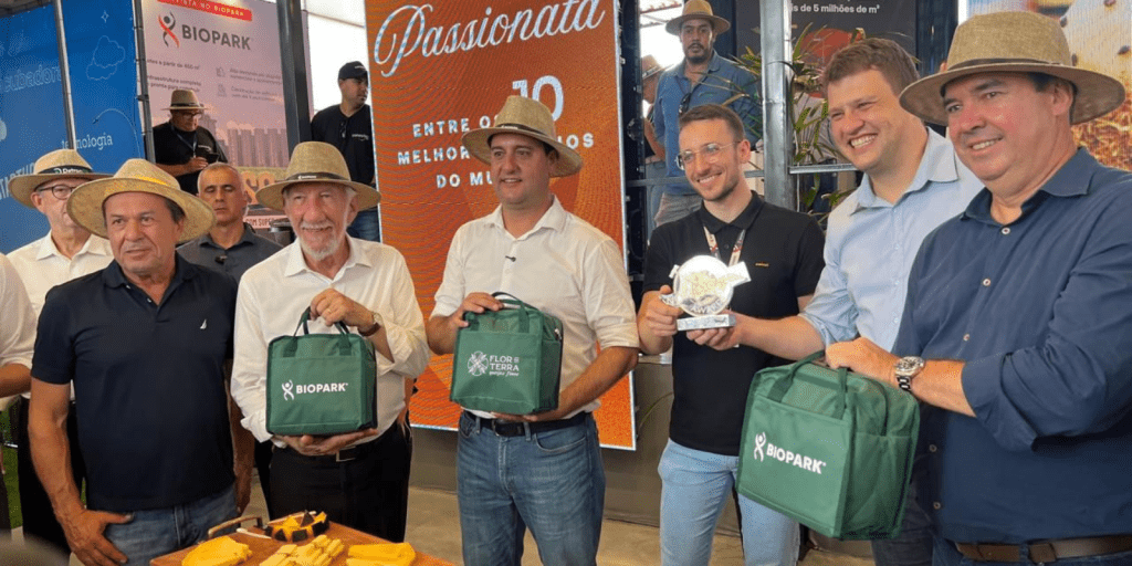 producao queijos economiapr