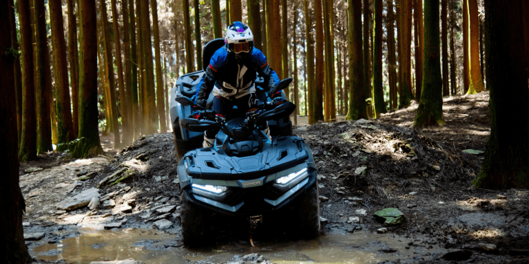 veiculos off-road economiapr