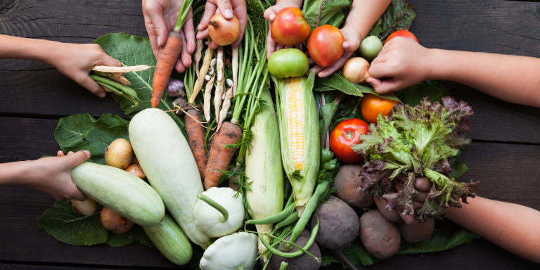 alimento sustentável economiapr