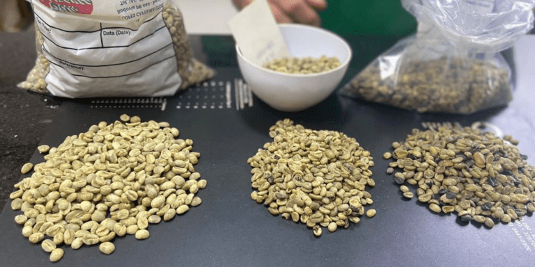 cafe mandaguari economiapr