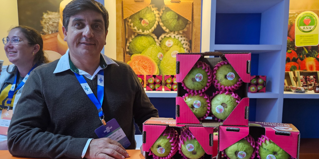 conexao produtores pr florianopolis economiapr