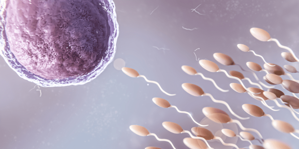 fertgroup economiapr