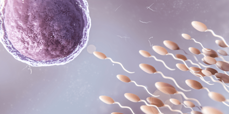 fertgroup economiapr