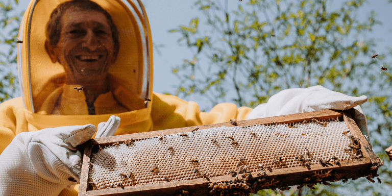 tendencias agronegocios economiapr