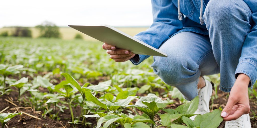 Food Valley Economia PR