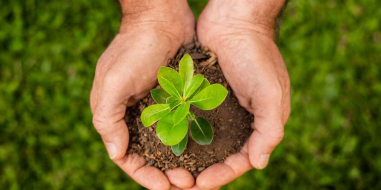 licenciamento ambiental economiapr