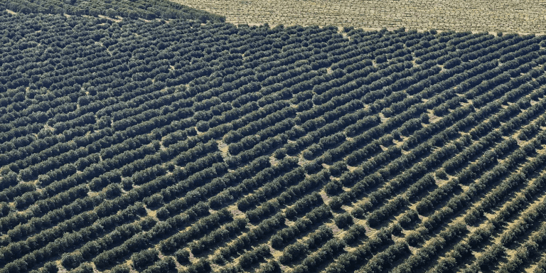 recurso agricultura economiapr