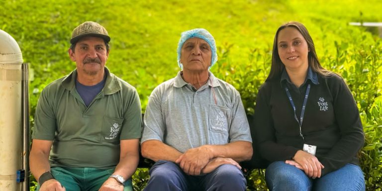 carreira estavel economiapr