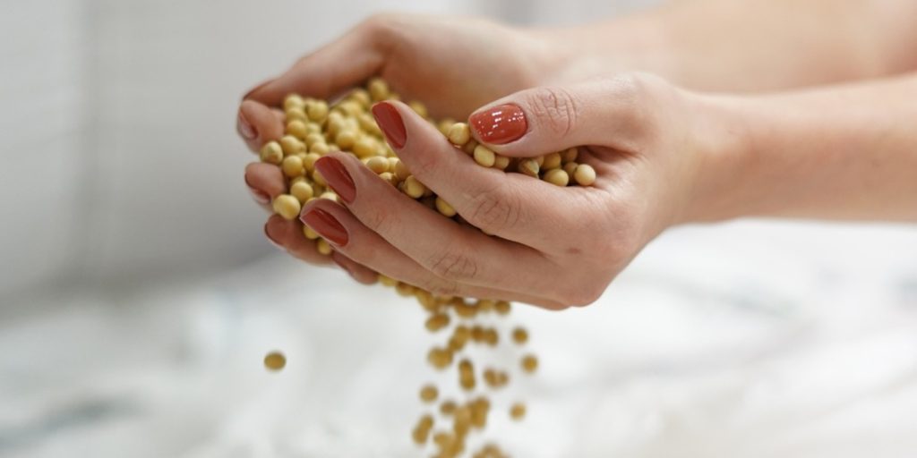 Frísia Castrolanda Economia PR