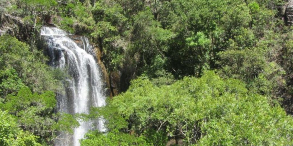 projeto piloto reservas naturais economiapr