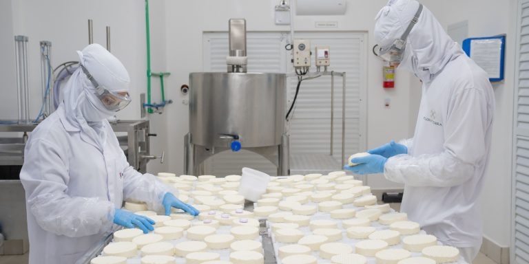 Biopark queijos Economia PR