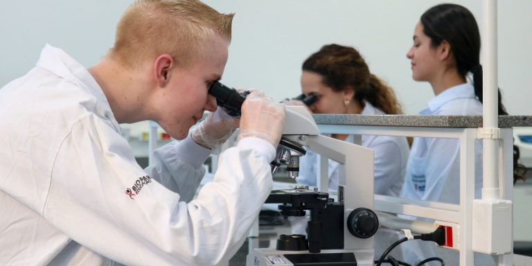 Paraná empregabilidade Economia PR