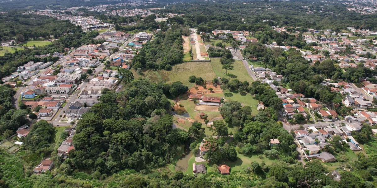 floresta urbana economiapr