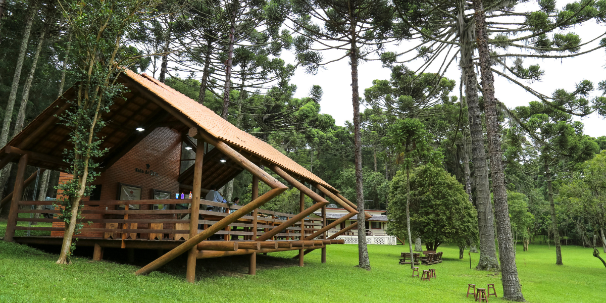 gráfica mata atlântica economia pr