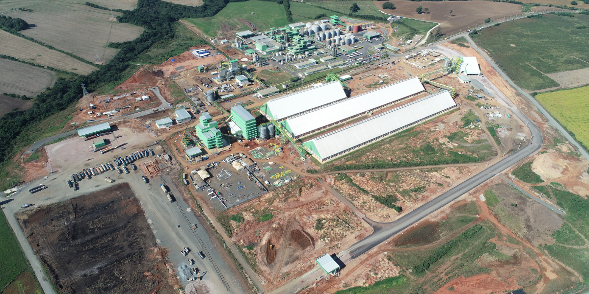 grupo potencial economiapr