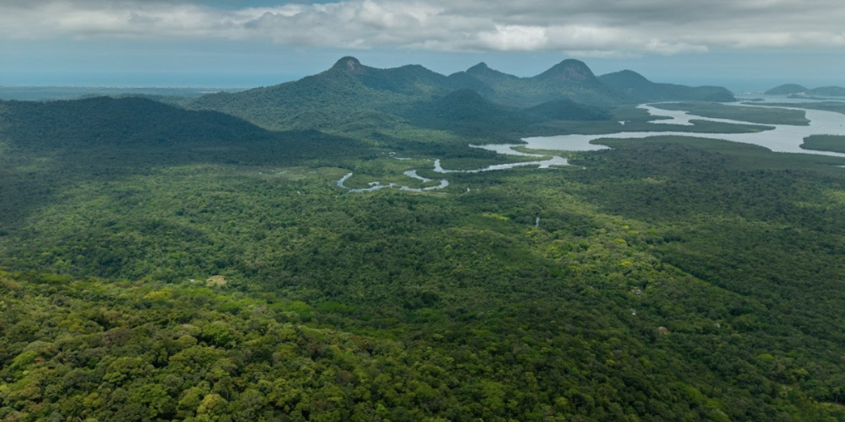 mater natura economiapr