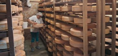 Pequenos produtores Queijo Economia PR