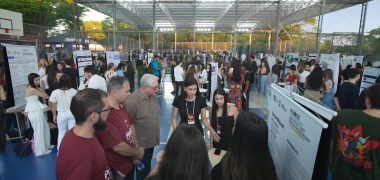 Empreendedorismo Ensino Fundamental Economia PR