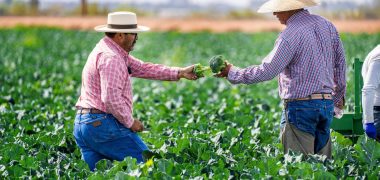 Risotolândia COP30 Economia PR