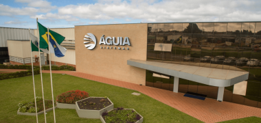 aguia sistemas economiapr