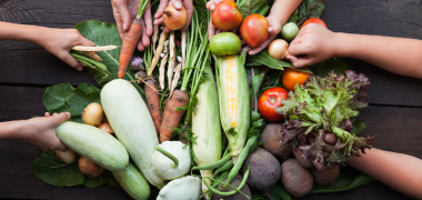 alimento sustentável economiapr