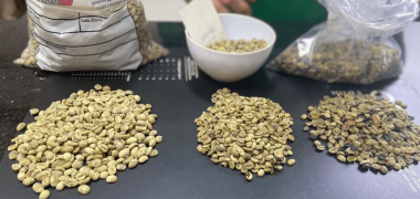 cafe mandaguari economiapr