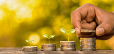 disciplina financeira economiapr