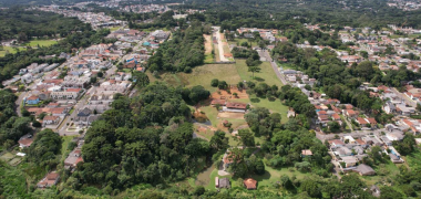 floresta urbana economiapr