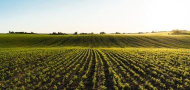 iguassu agro economiapr