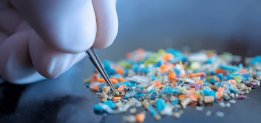 impacto plastico economiapr